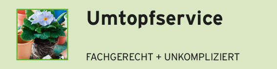Umtopfservice